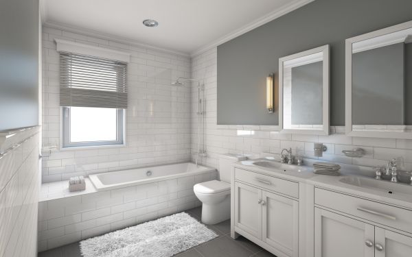 Cost of Restroom Remodeling in Camas