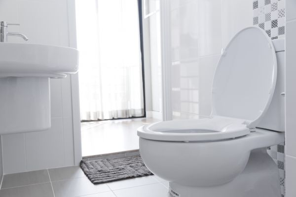 Cost of Toilet Relocation in Camas